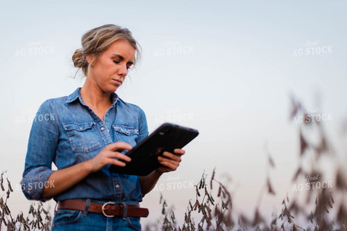 Female Farmer on Tablet in Field 8379