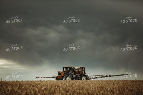 Self Propelled Sprayer Spraying in Corn Field 3660