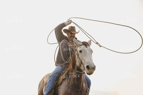 Rancher on Horseback Roping Cattle 219099