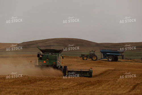 Wheat Harvest 187188