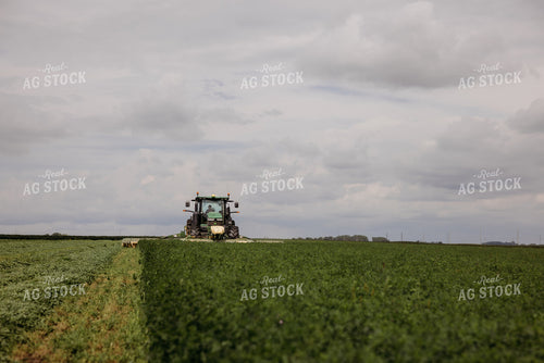 Cutting Hay 152141