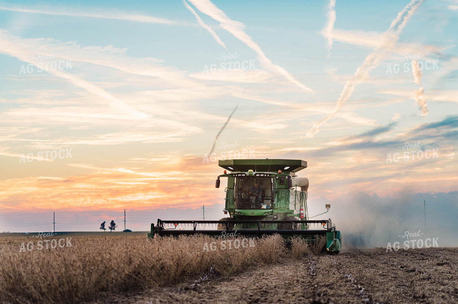 Soybean Harvest 115042