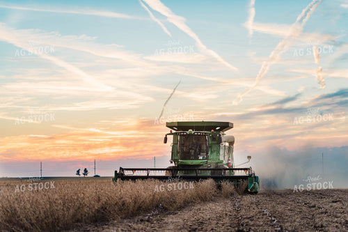 Soybean Harvest 115042