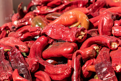 Red Peppers 105067