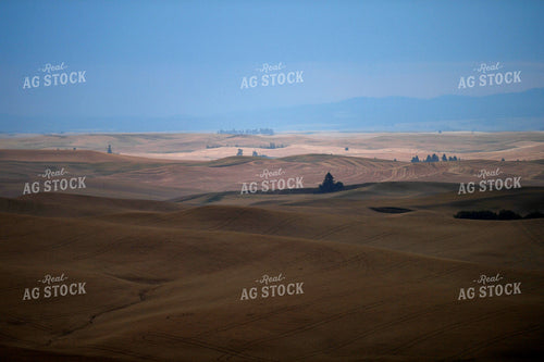 Rural Countryside with Rolling Hills 129041