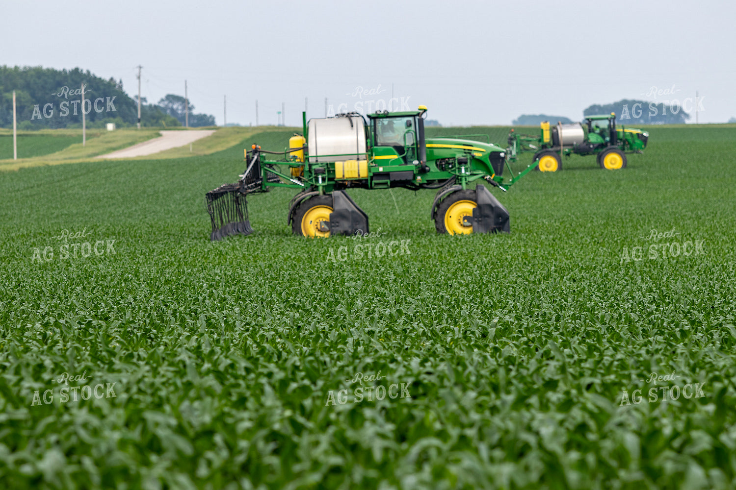 Spraying Corn 257023