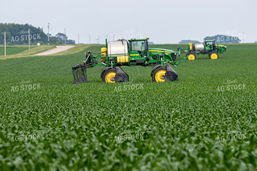 Spraying Corn 257023