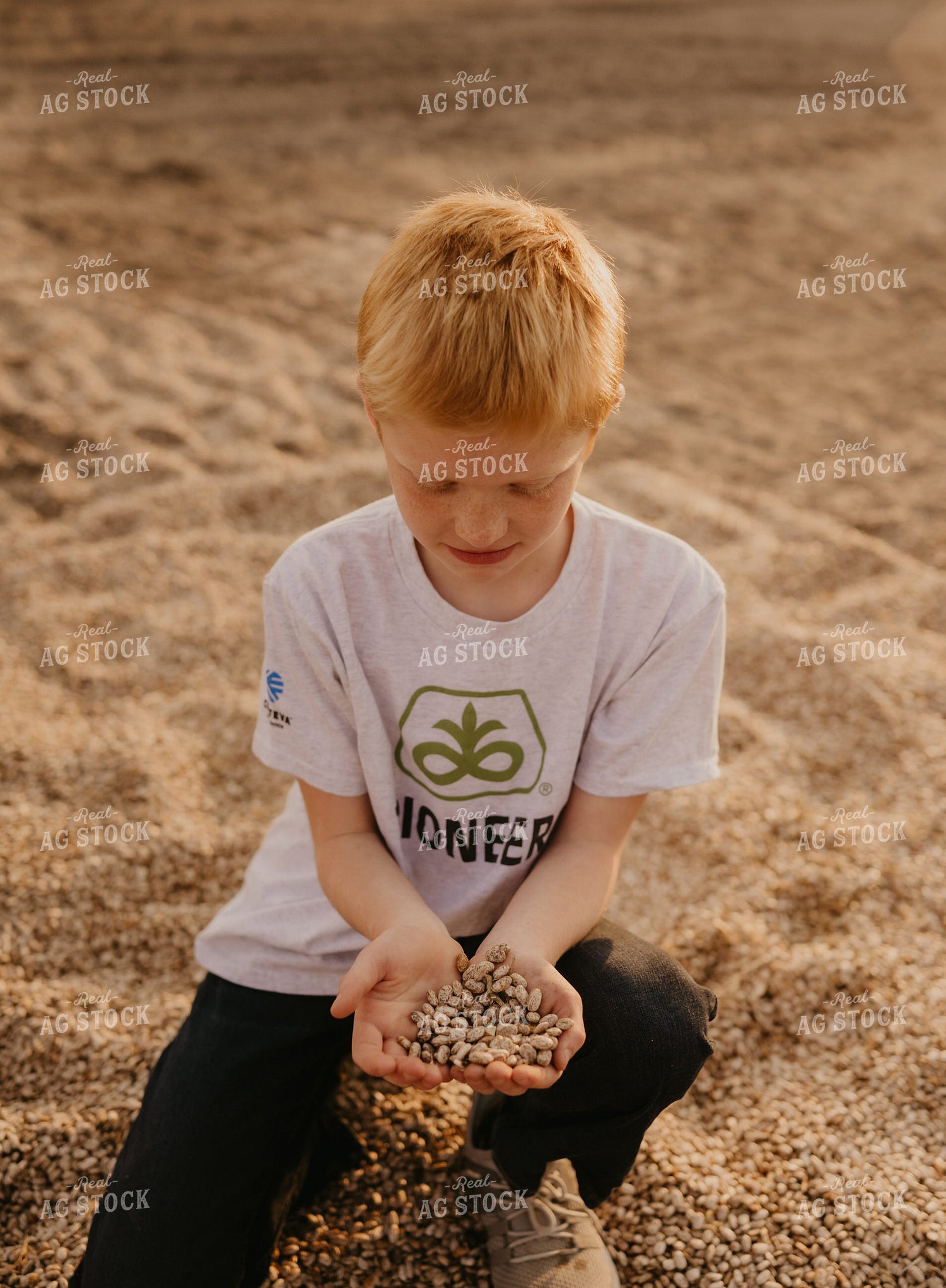 Farm Kid Holding Pinto Beans 185125