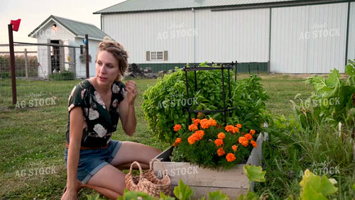 Farm Wife in the Garden - 389