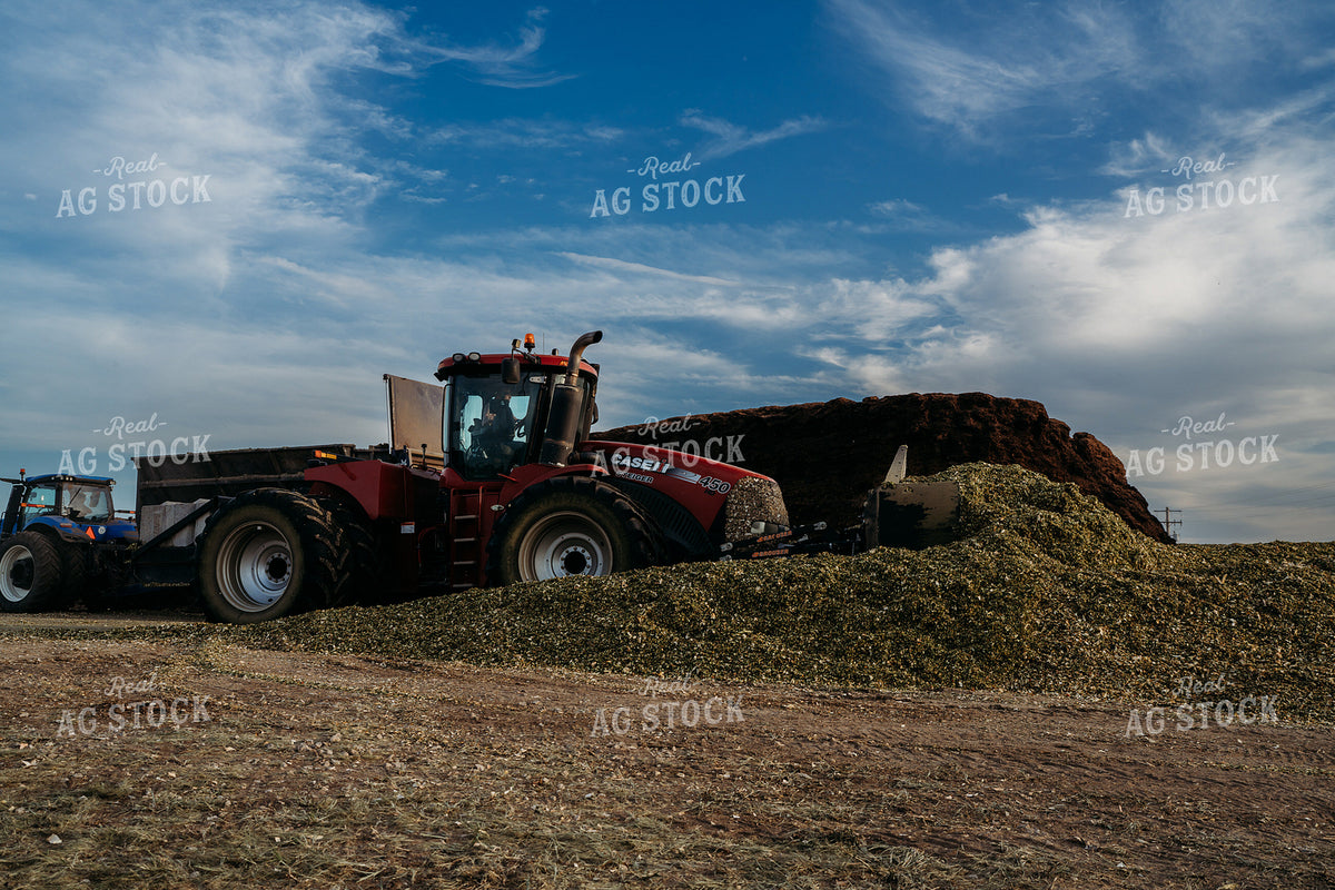 Unloading and Packing Silage 196373