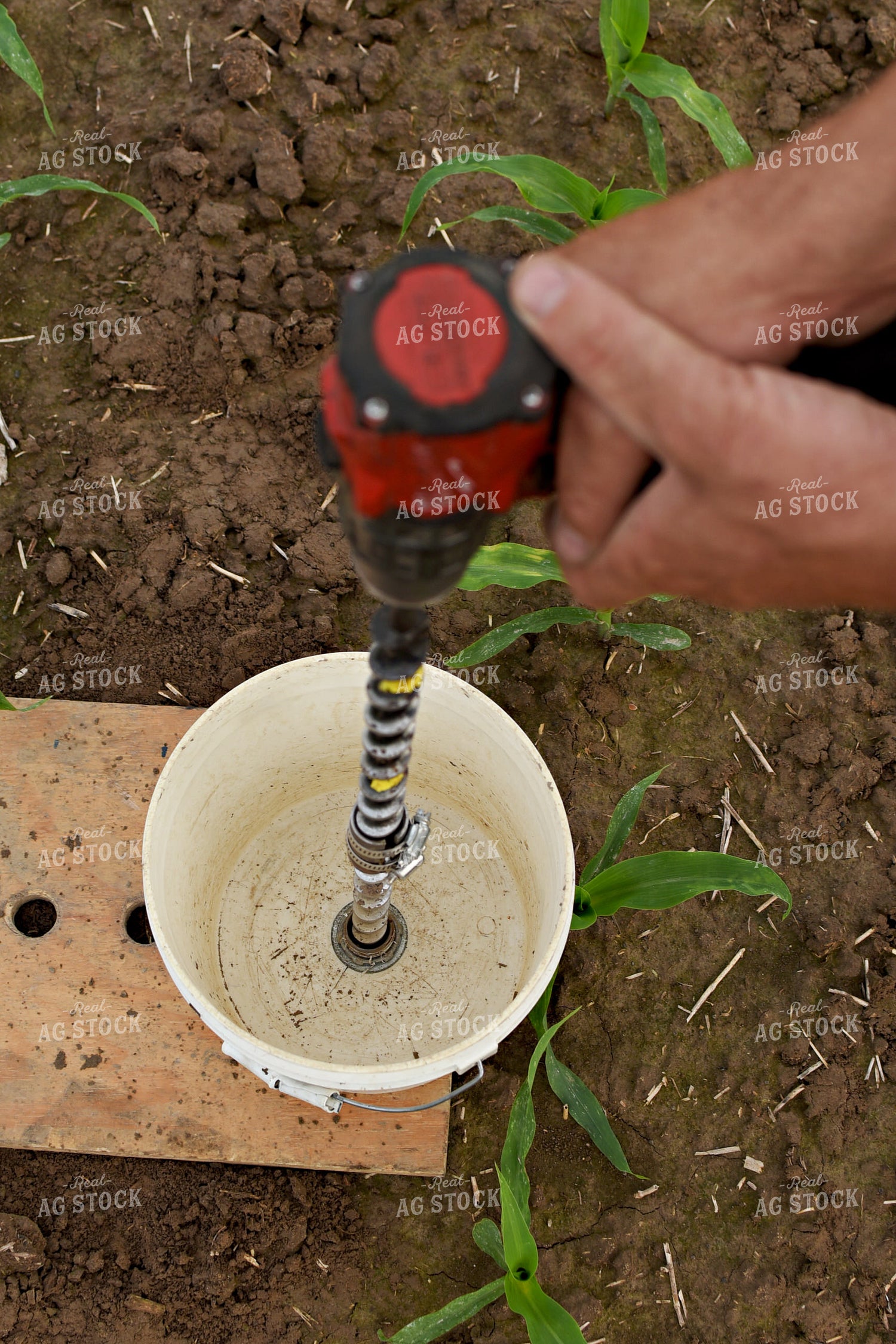 Soil Sampling 100053