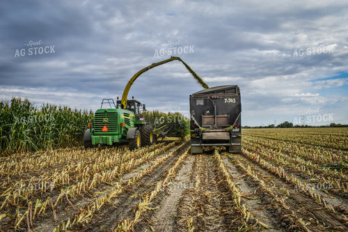 Silage Harvest 56229
