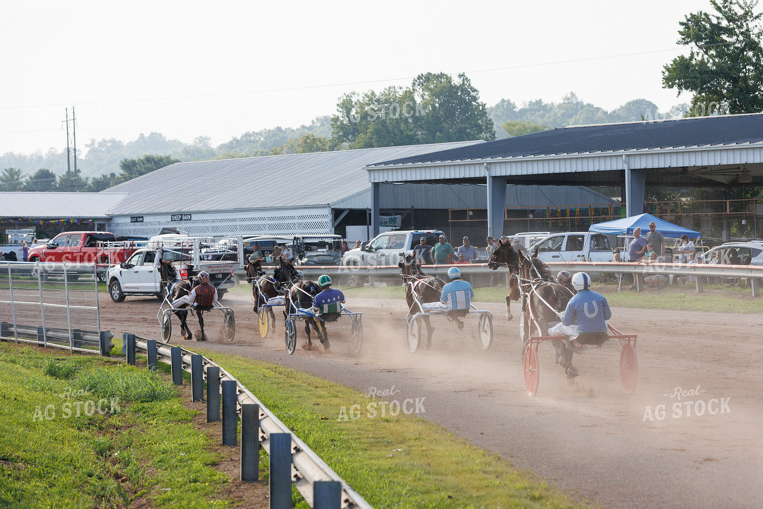 Harness Racing 52939