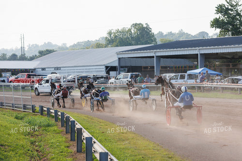 Harness Racing 52939
