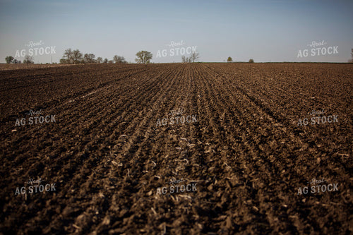 Planting 1914