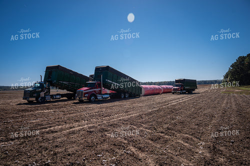 Trucks with Cotton Modules 149159