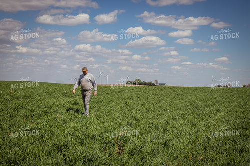 Walking through Cover Crops 67687