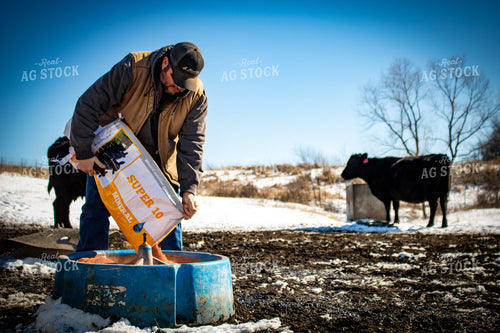 Pouring Mineral into Cattle Tub 214067