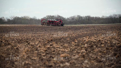 Planting into Tilled Cover Crops - 151