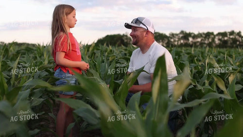 Farmer and Daughter Checking Corn 9175