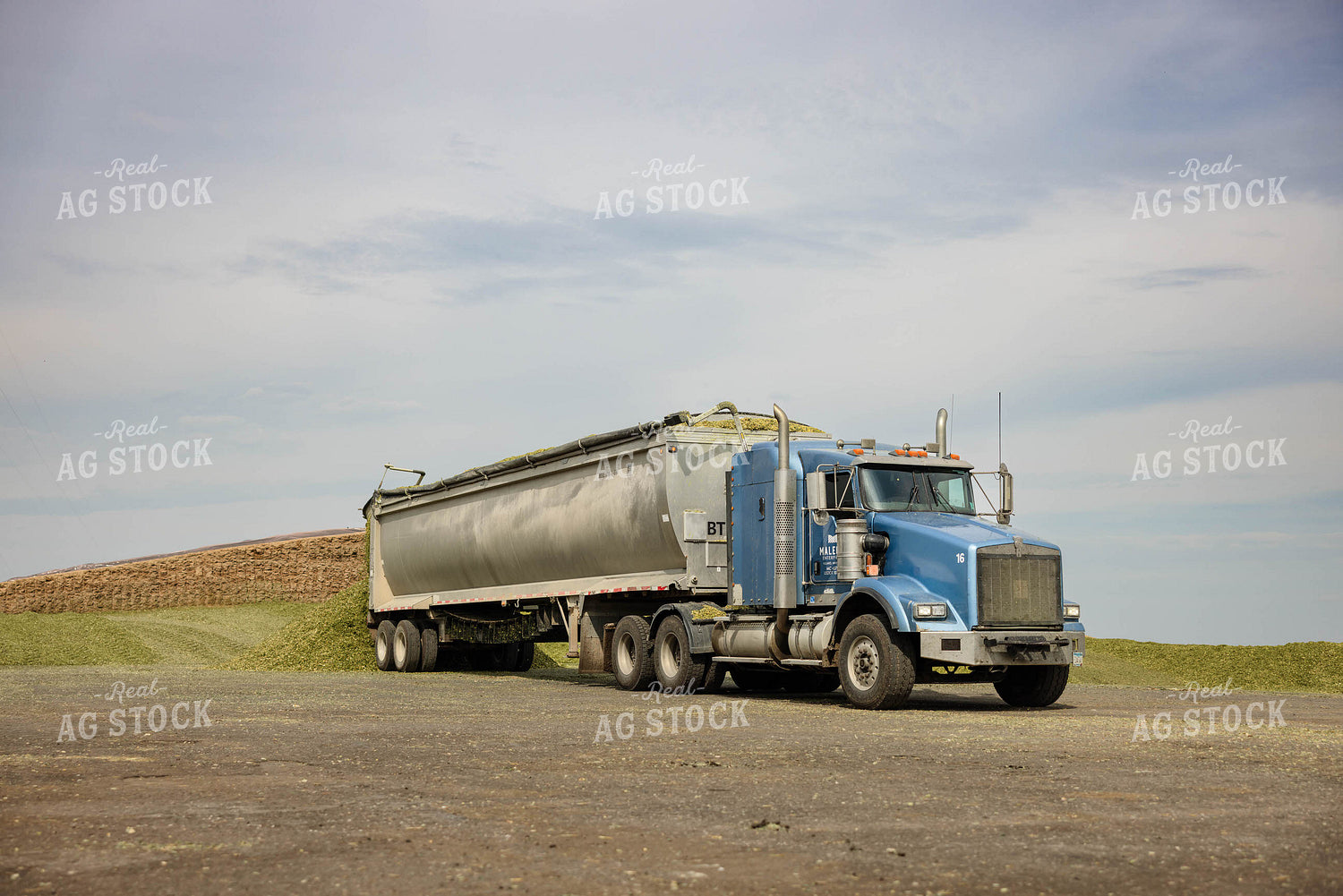 Unloading Silage 152948