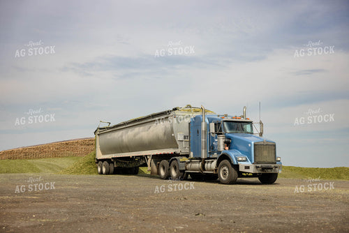 Unloading Silage 152948