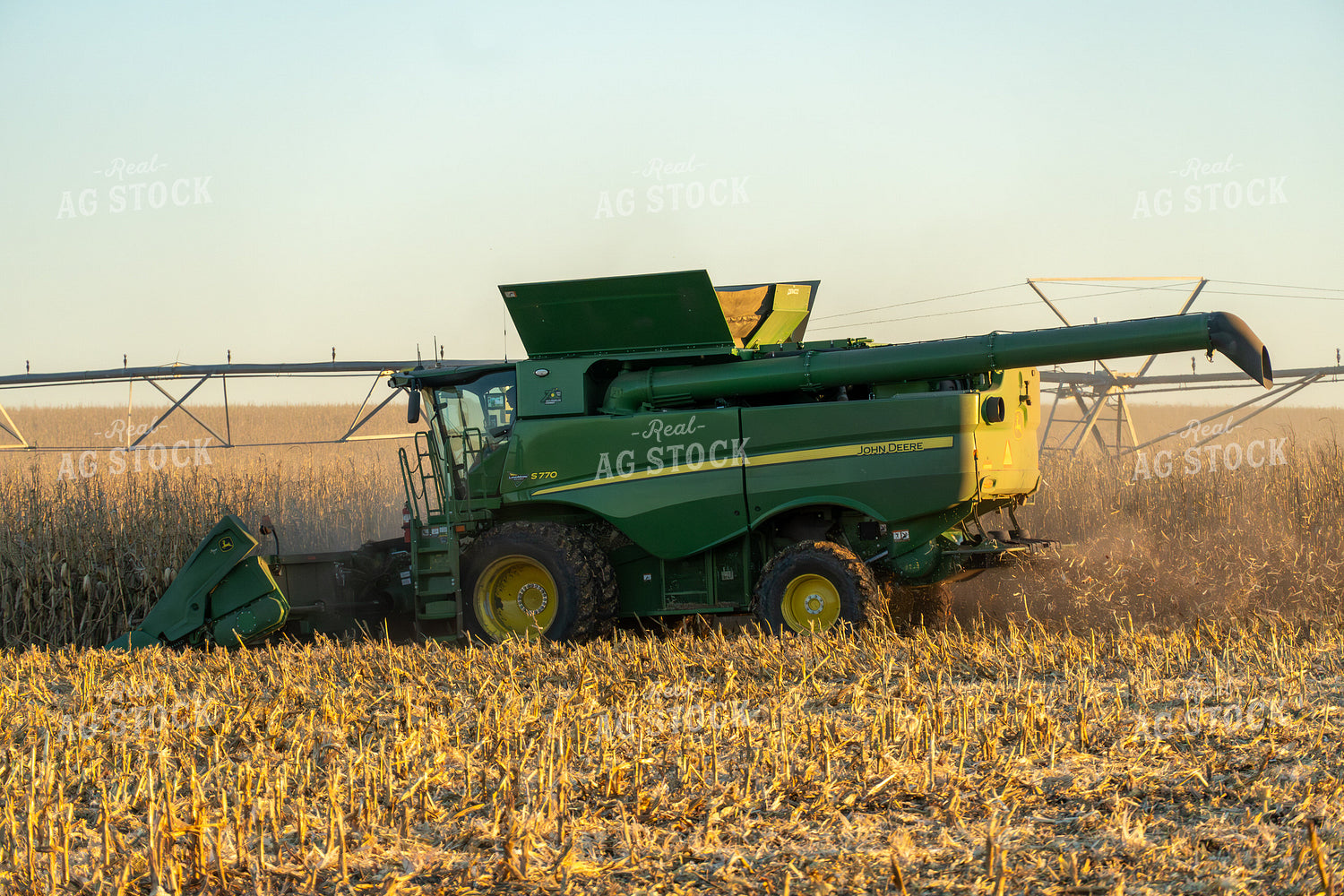 Corn Harvest 65543