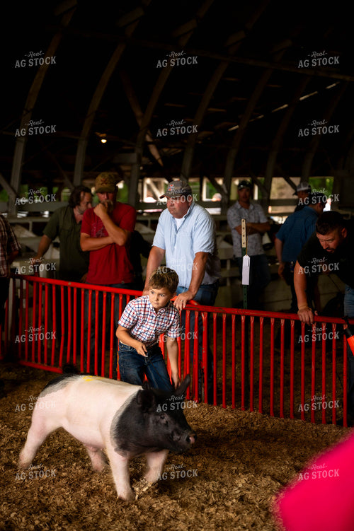 Showing Pigs 115781