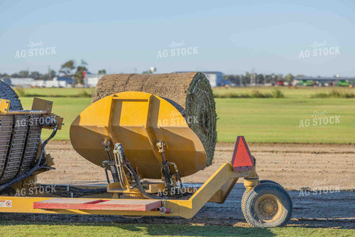 Sod Harvest 291021