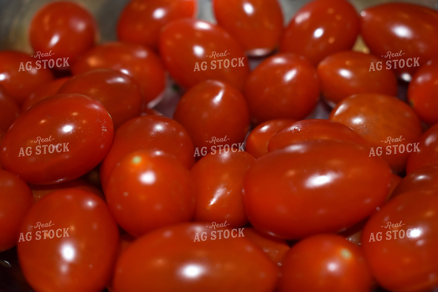 Cherry Tomatoes 84062