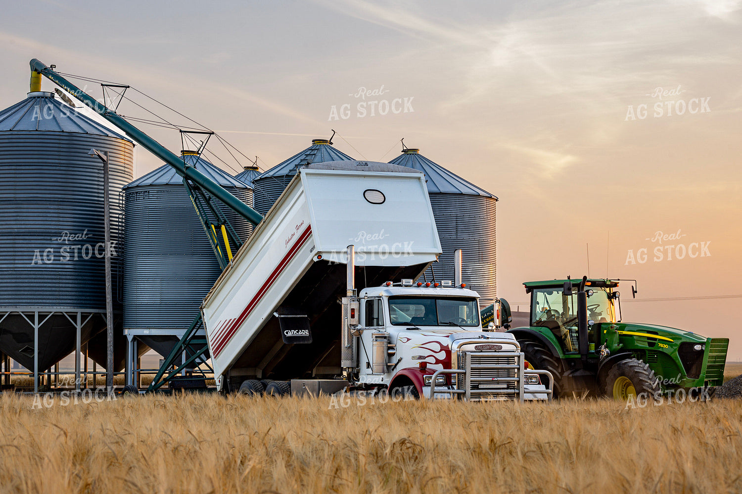 Storing Wheat 187100