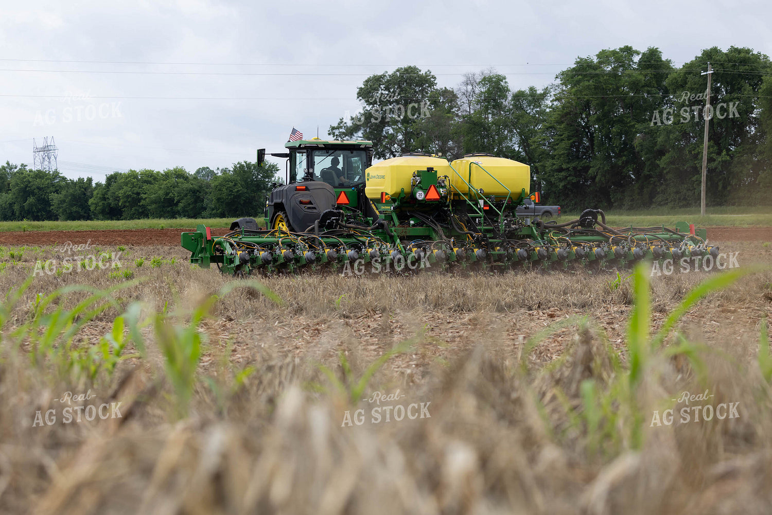 Planting 79652