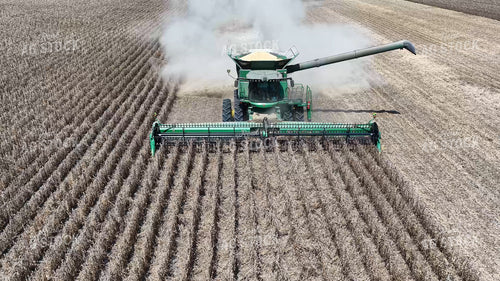 Soybean Harvest 79888