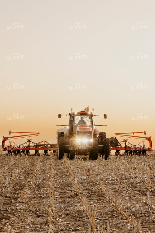 Planting 207032