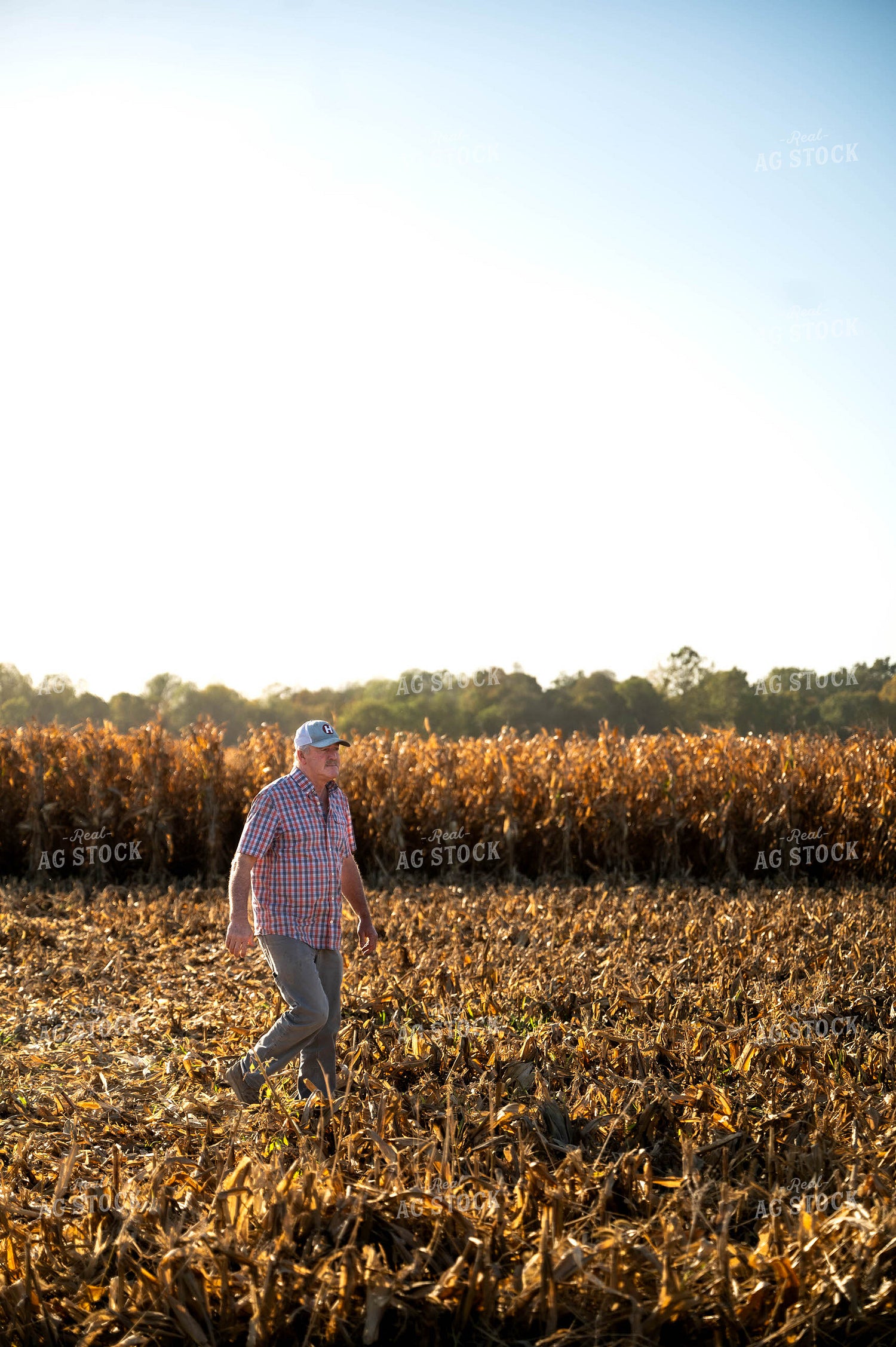 Farmer Walking in Field 115544