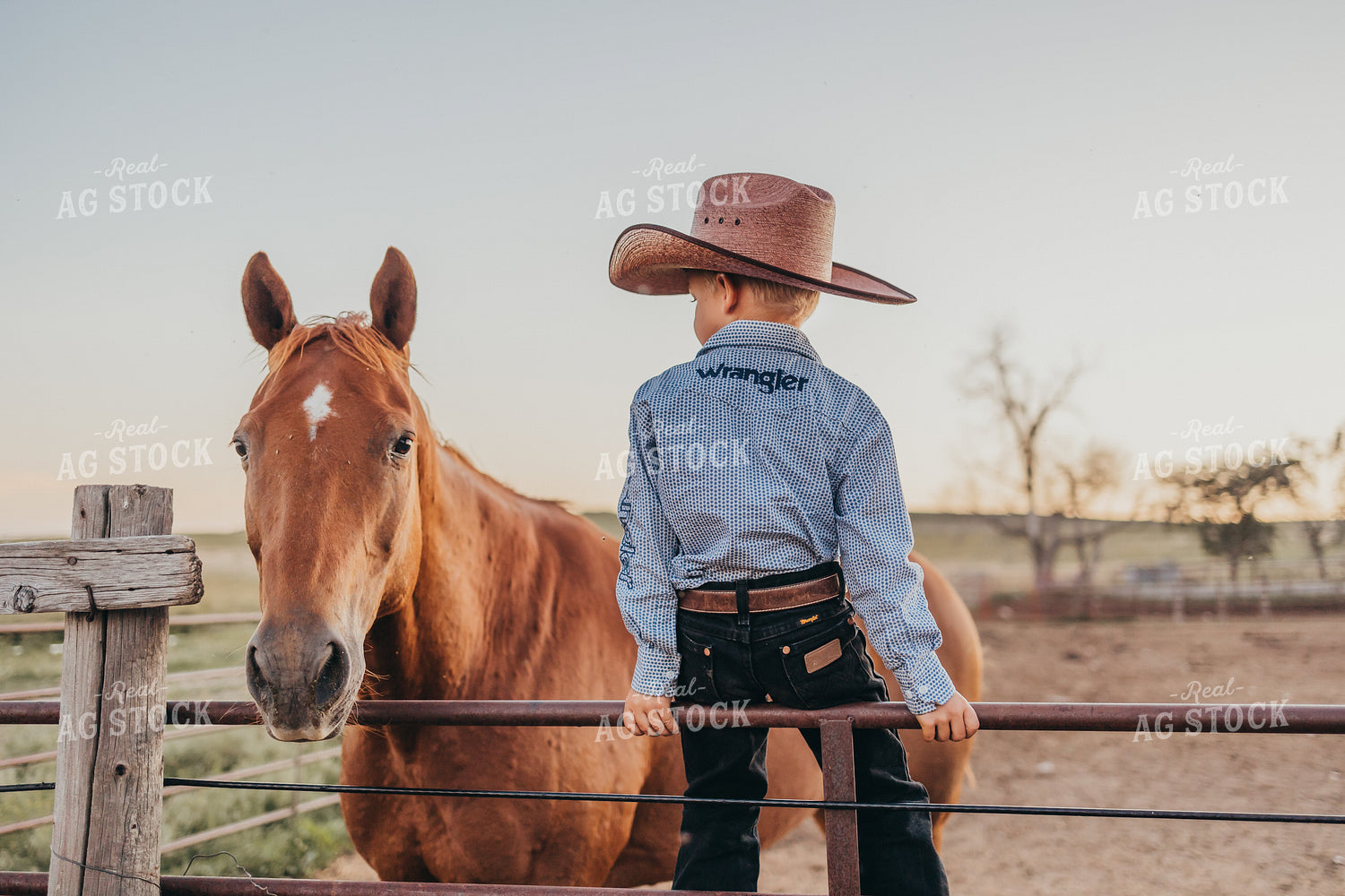 Ranch Kid with Horse 61135