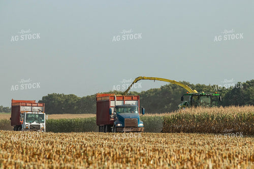 Silage Harvest 72103