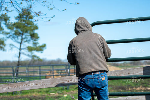 Farmer Opening Fence 50472