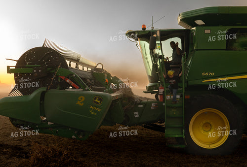 Soybean Harvest 185231