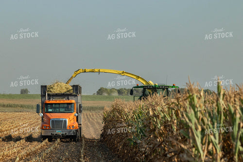 Silage Harvest 72102
