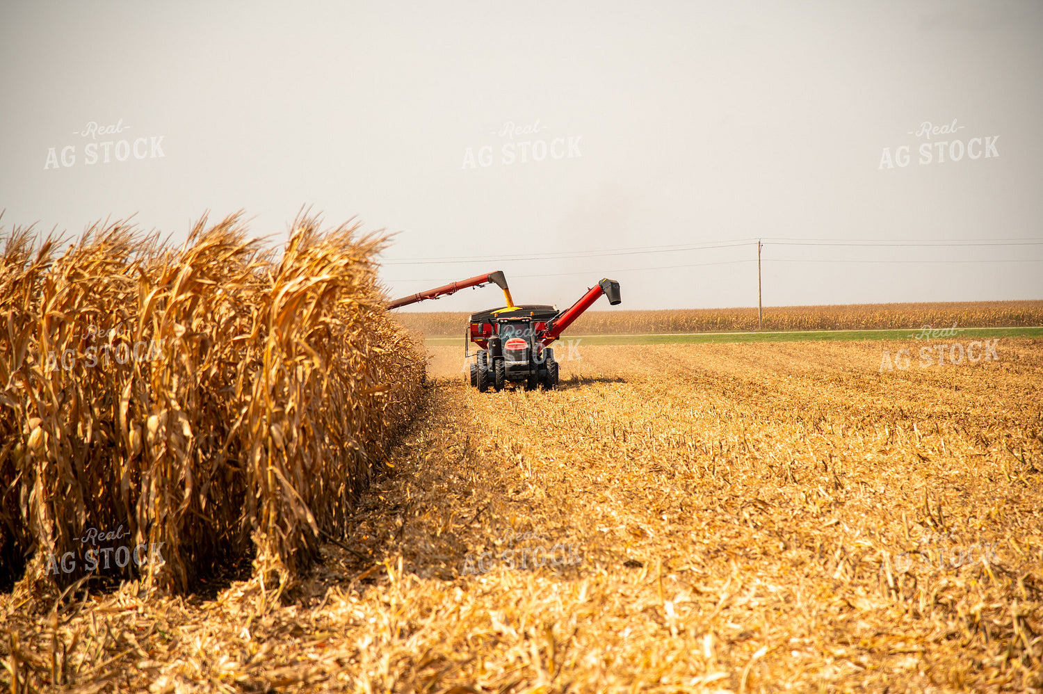 Combine Unloading Corn into Auger Wagon on the Go 25536