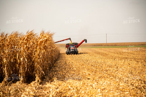 Combine Unloading Corn into Auger Wagon on the Go 25536