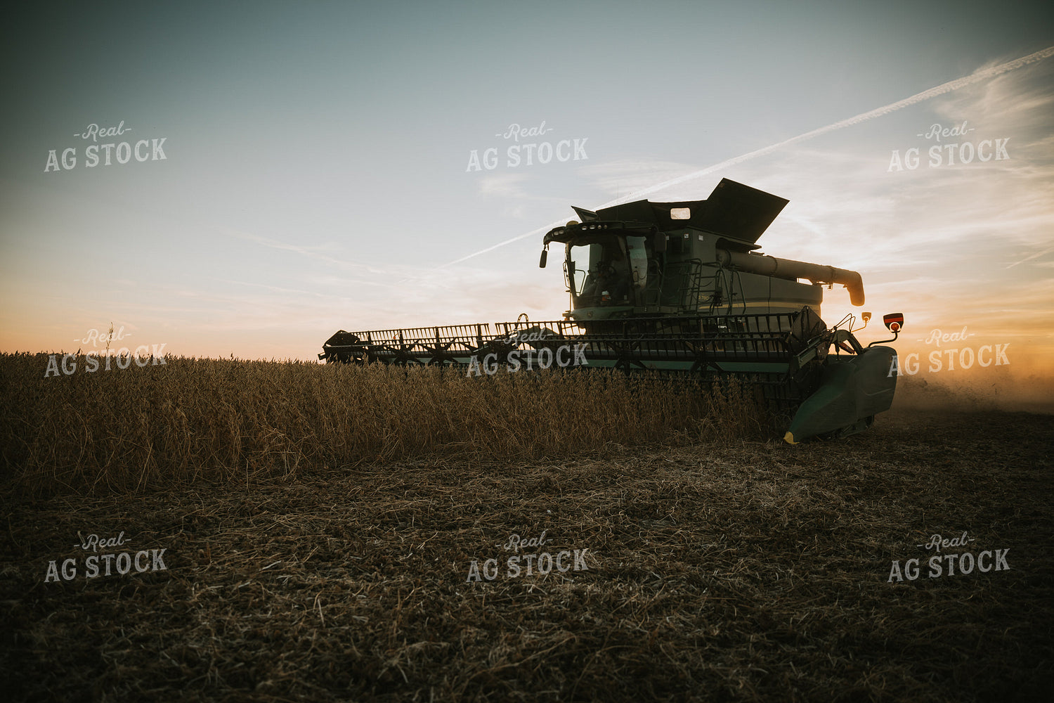 Soybean Harvest at Dusk 7001