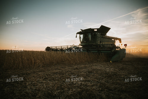 Soybean Harvest at Dusk 7001