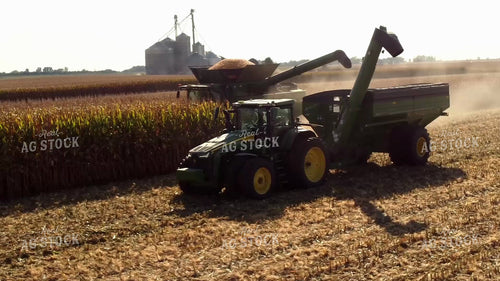 Corn Harvest 287046