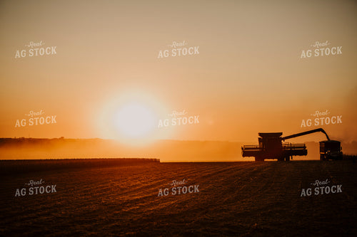 Harvest 2600
