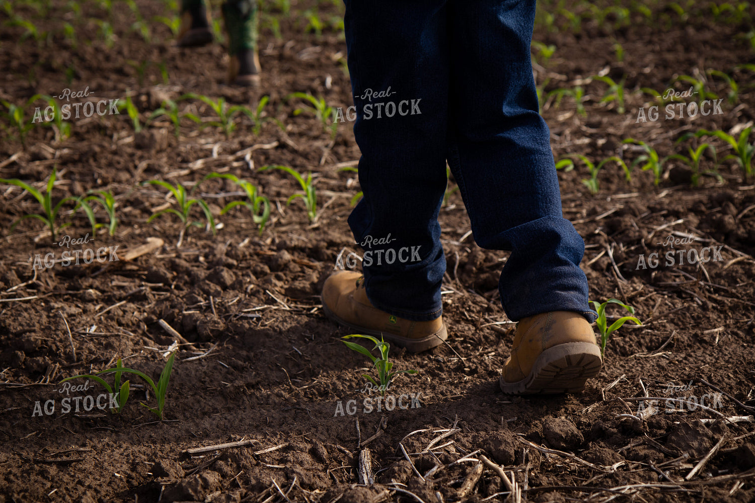 Farm Kids Checking Crops 268294