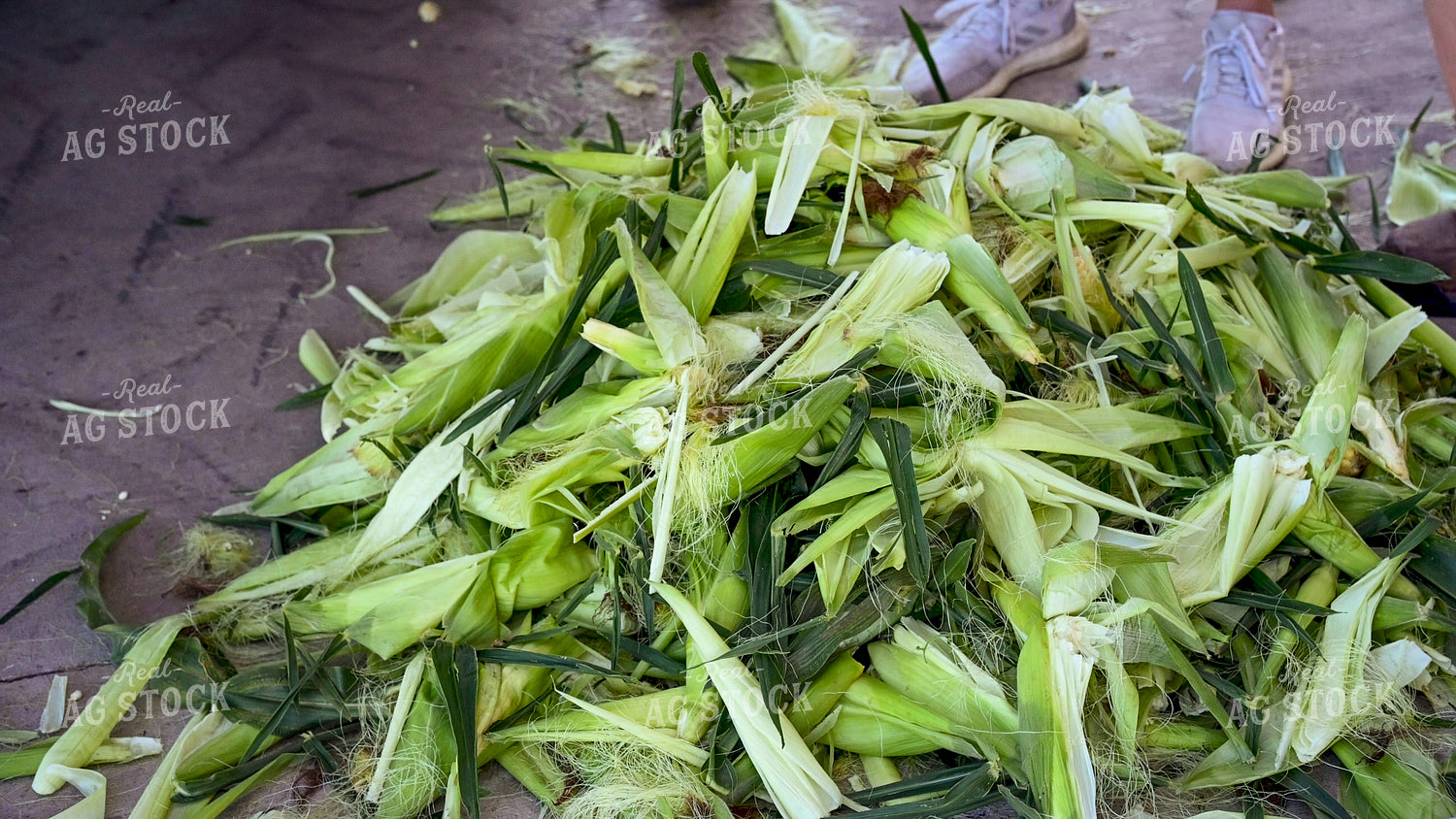 Sweet Corn Shucks 25246