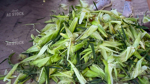 Sweet Corn Shucks 25246
