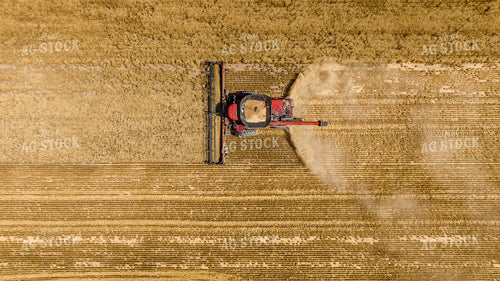 Wheat Harvest 199042